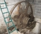 Restauration d’une grande roue à godets en chêne et en acier - Avant travaux 3